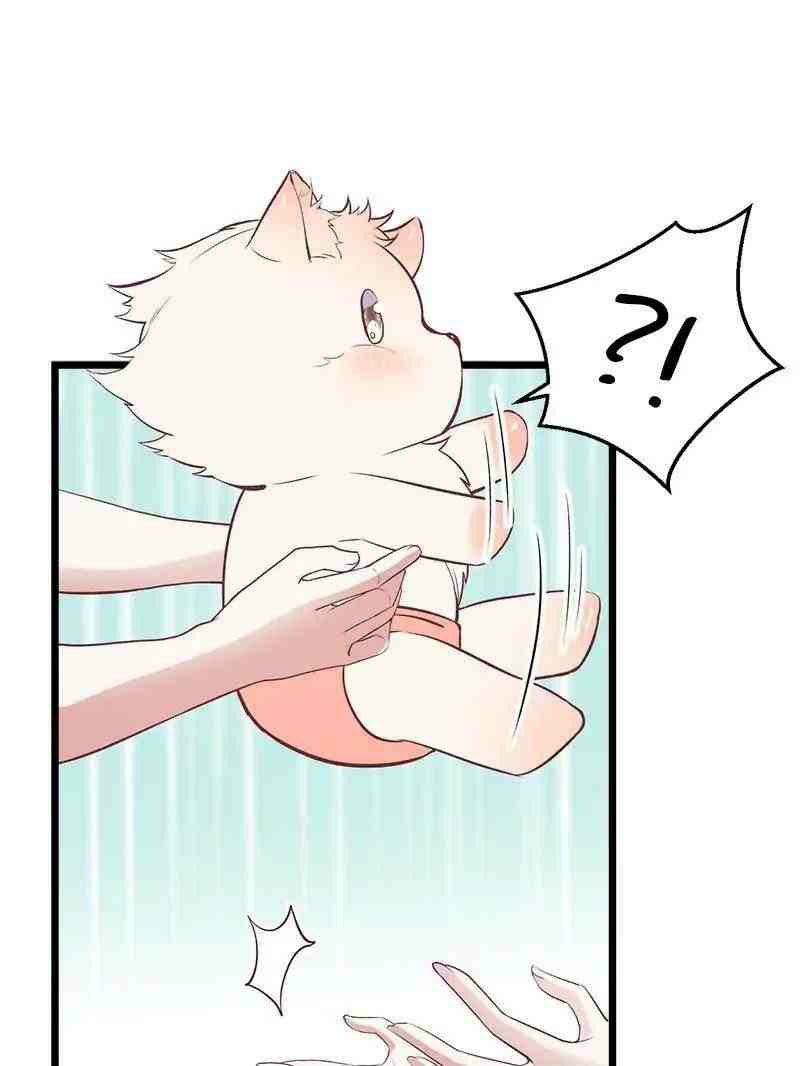Beauty and the Beasts Chapter 71 Gambar 13